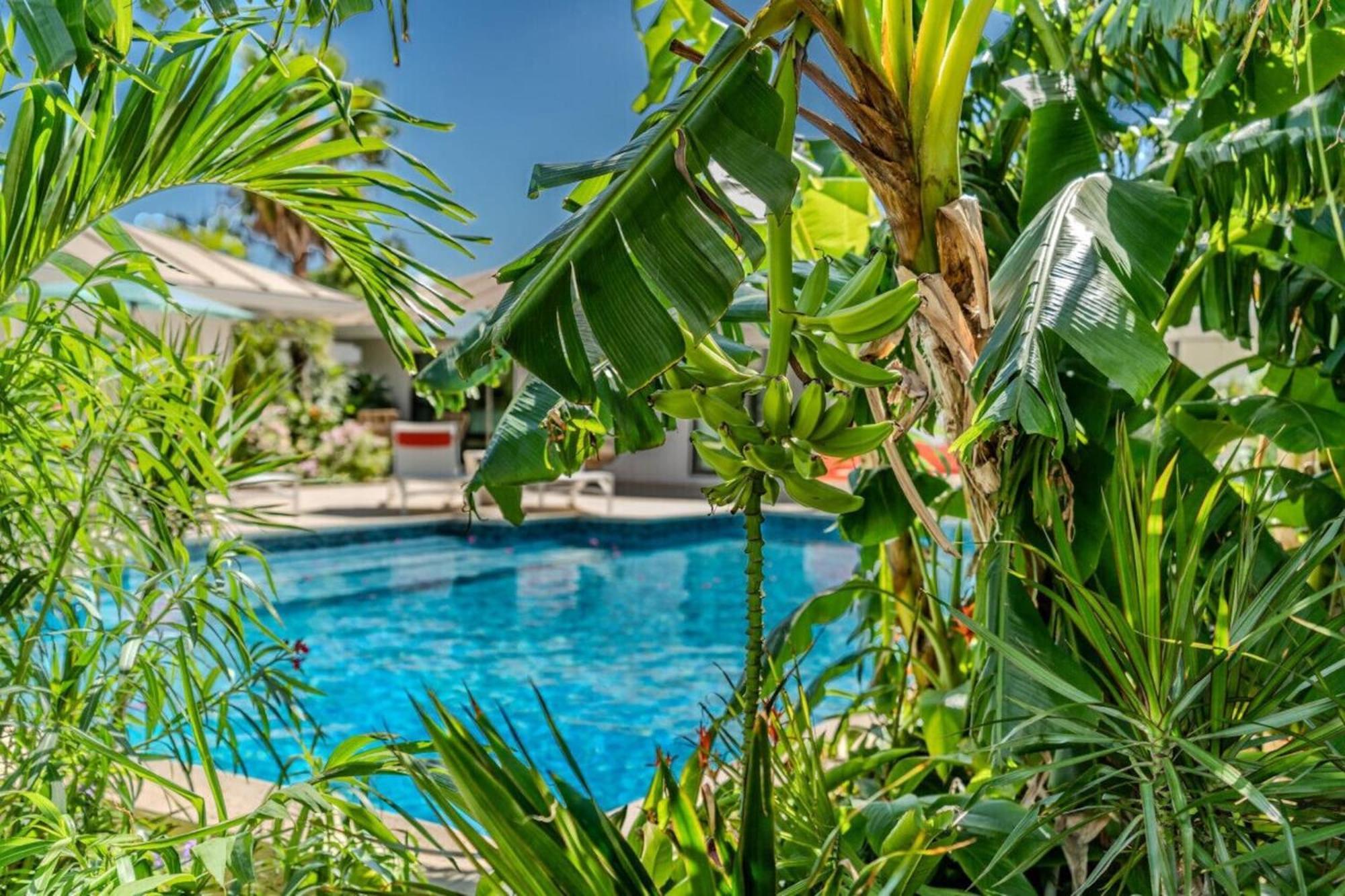 Royal Villa With A Huge Swimming Pool Cowell Battery Екстериор снимка
