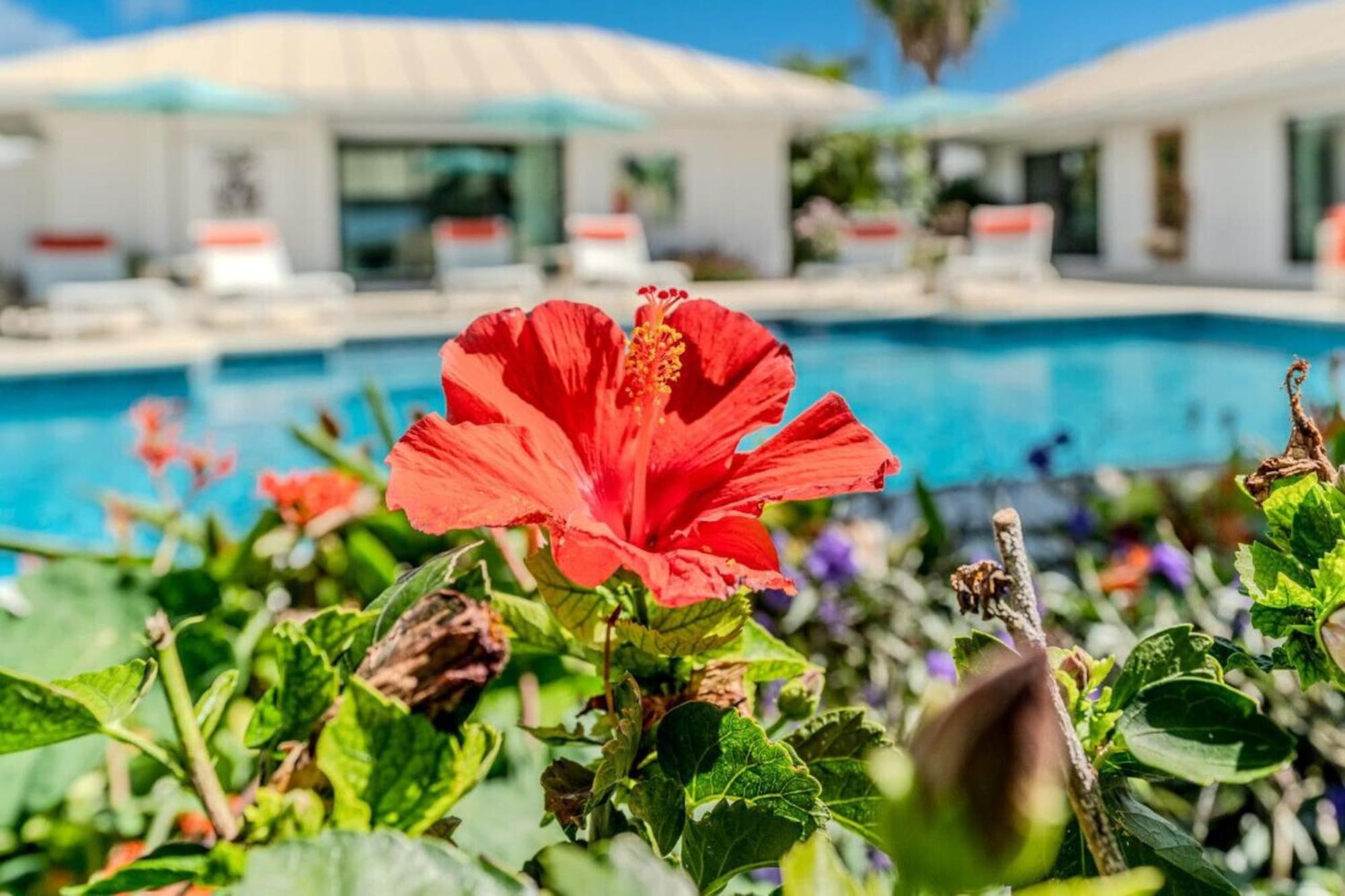 Royal Villa With A Huge Swimming Pool Cowell Battery Екстериор снимка
